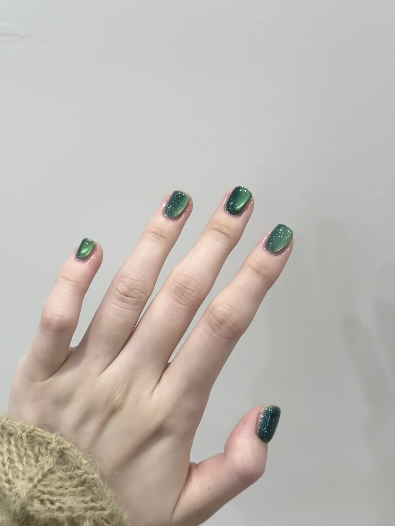 1pcs SHAKA Autumn And Winter D - Nail Art Emerald Green review and price
